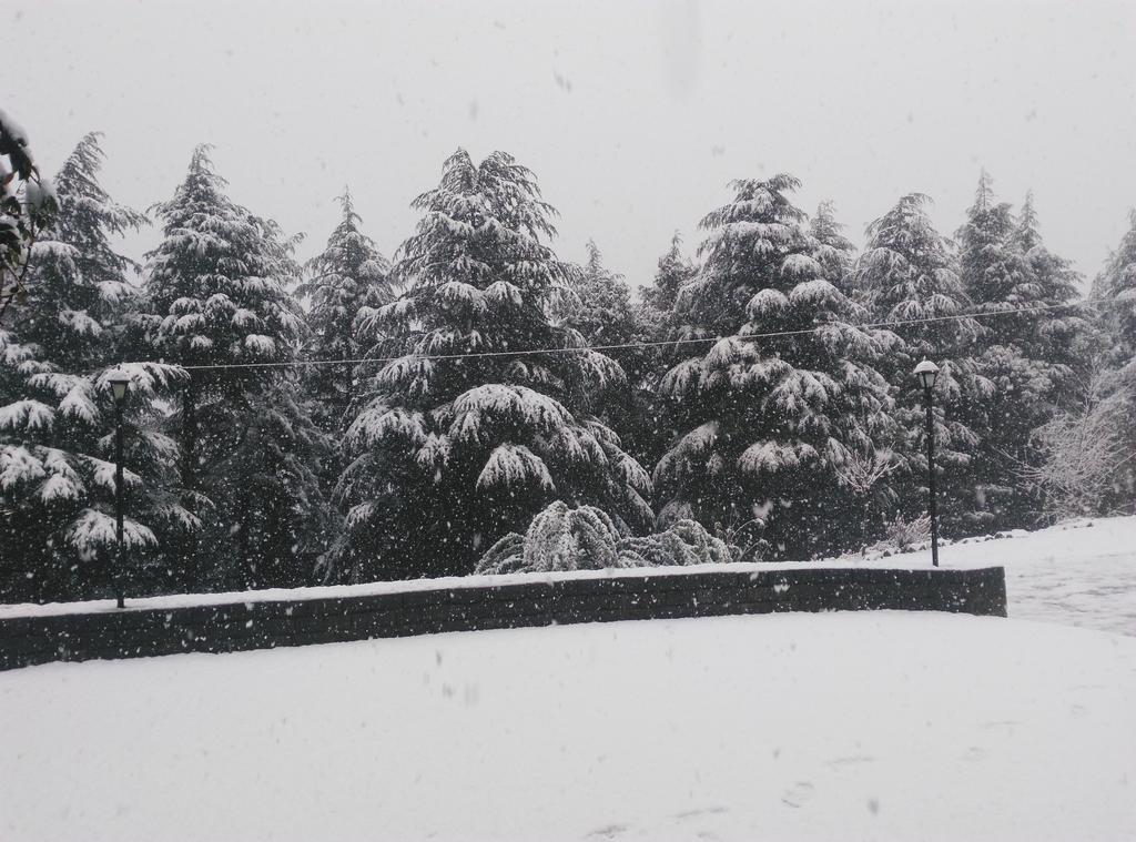 Woodsmoke Retreat Hotel Shimla Bagian luar foto